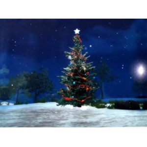 China SU301 Christmas Decorative LED Canvas AA * 2PCS Batteries Lighted Wall Art wholesale