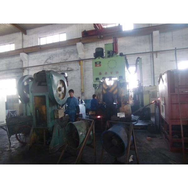 TS16949 Forged Steel Parts