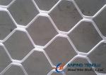 Beautiful Grid Mesh for Protection, Firm Structure & Corrosion Resistance