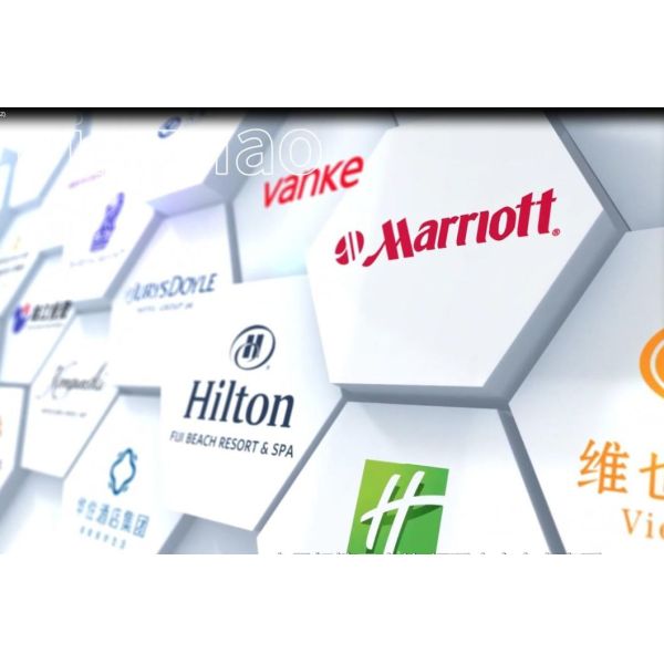 OEM/ODM Customized Solid Wood Frame Living Room Furniture for Big Living Rooms with Solid Wood