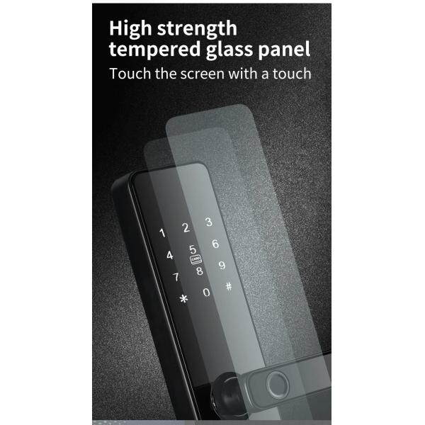 S819 Digital Smart Home Door Lock WiFi Enabled Tuya TTlock & Fingerprint with Password Key Card Lock