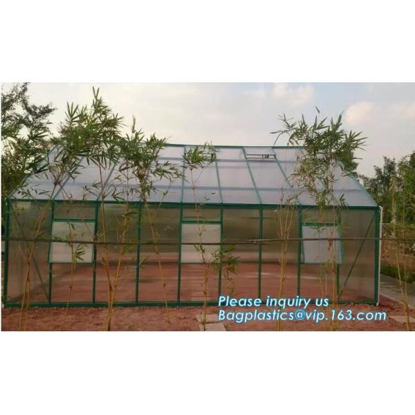 small garden green house,Multispan Tunnel Greenhouse for Tomato Agricultural Green houses,fabric steel wire agriculture