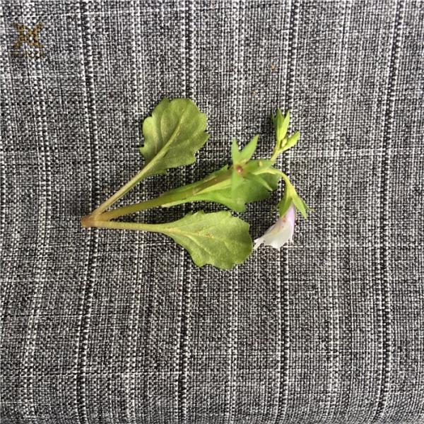 Density customized Woven Black And White Yarn Double Stripes Fabric For Suits Outfits