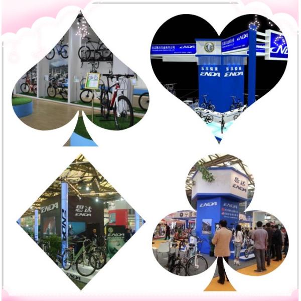 28km/H Lightweight Electric Folding Bike With 48V 13Ah Lithium Battery