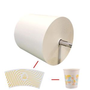 China Waterproof High Bulk White PLA Coated Paper Roll 150-350gsm 100% Virgin Wood Pulp on sale