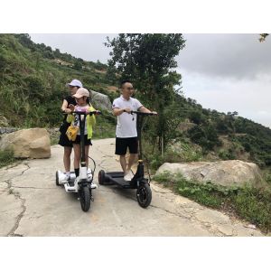 China 25km/h Battery Charging Electric Balance Scooter wholesale