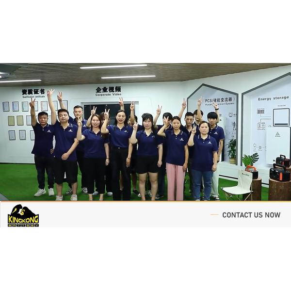 Ess Powerwall 5Kwh 10Kwh 15Kwh 20Kwh Lifep04 Lithium Battery 48V Volt 100Ah 200Ah 400 300Ah Lifepo4 Solar & Battery Pack System