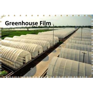 Greenhouse Film Agricultural greenhouse Plastic Film Agricultural Film