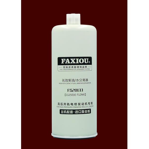 Heavy Truck Filter Diesel Water Separator Kit FS20133