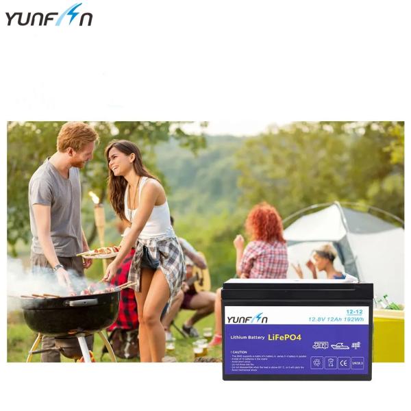 12V 30Ah Lifepo4 Solar Power Battery Backup RV Golf Cart Lithium Battery Pack