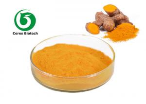 China Health Care Natural Turmeric Curcumin Extract 95% For Anti-inflammatory wholesale