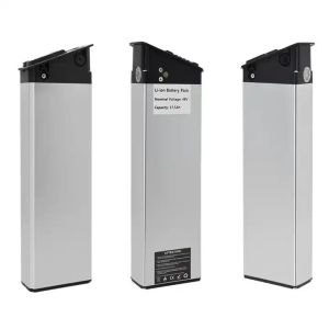 High Quality Silver Fish Battery 48V 20ah Lithium Ion E-Bike Battery For 1000W