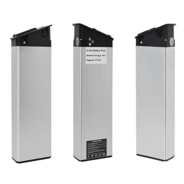 High Quality Silver Fish Battery 48V 20ah Lithium Ion E-Bike Battery For 1000W