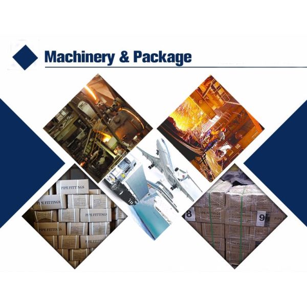 Alloy Steel Forged Fittings Alloy 400 2" Threadolet For Various Piping Applications