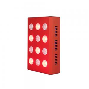 China 850nm Portable Red Light Therapy Device wholesale