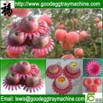 Plastic pan foam tray for Apple packing