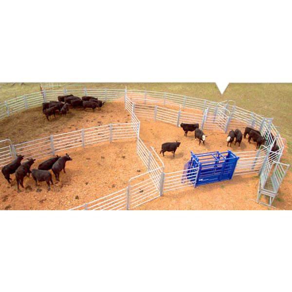 Durable High Strength Portable 40x80mm Oval Rail Cattle Yard Gates 2.1m Width