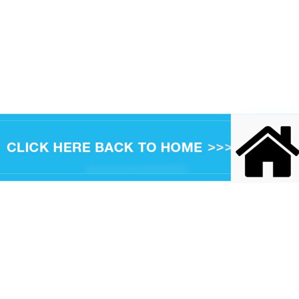 High- 51.2v 300ah Lifepo4 Battery For Electric Forklift 15kwh Capacity OEM/ODM Accepted