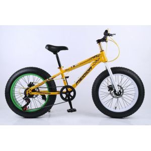 Steel Frame 21 Speed 26 Inch Electric Fat Bike