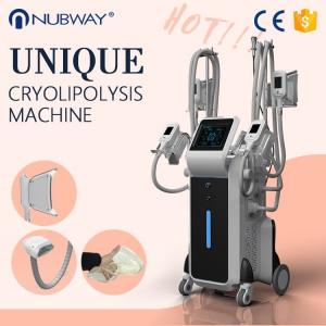 China CE Approved RF Ultrasonic Kryolipolyse Fat Freeze Lipo Cavitation Machine Price wholesale