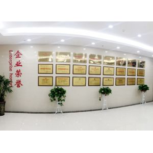 Anhui Hongshi Optoelectronic High-tech Co.,Ltd