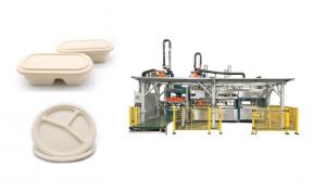 China Fully Automatic Wood Pulp Food Serving Tray Production Line wholesale
