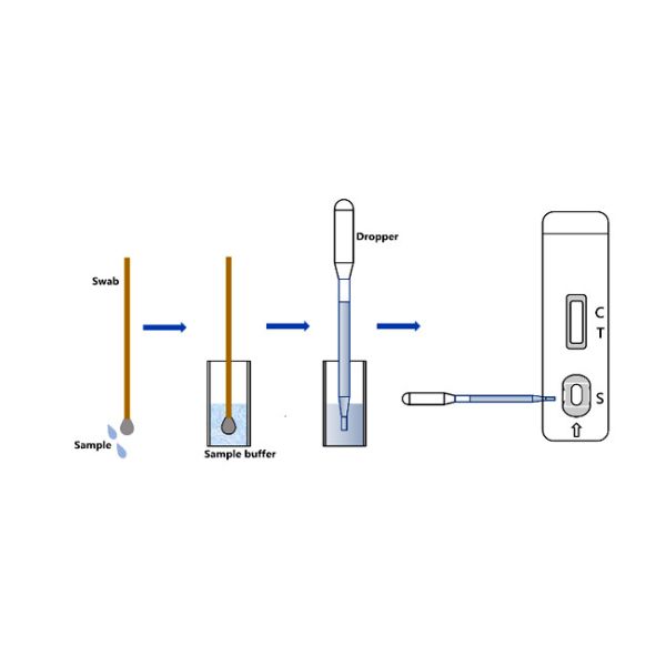 Canine Rabies Virus Antigen Pet Rapid Test Kit , Rabies Test Kit For Dogs 10 Tests