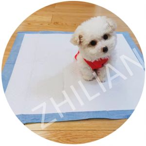 50Hz Pet Training Pad Machine 350mm 1200mm Length