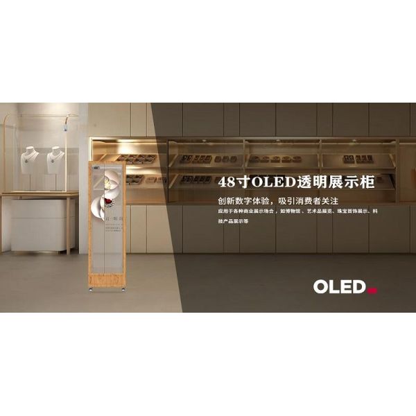 48 Inch Transparent Oled Display Panel 1920*540 Resolution 400 Nits Oled Transparent Oled Panel