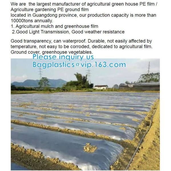 200 Micron Uv Resistant Film Greenhouse Perforated Mulch Agricultural Film Vegetable Planting