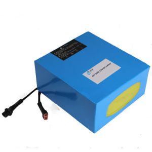 China 1C 50Ah 48V Deep Cycle Battery For Trolling Motor on sale