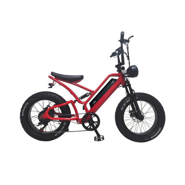 E-bike Fat Tire 48V10Ah Lithium Battery Speed 500W Brushless Spoke Motor For Snowmobiles
