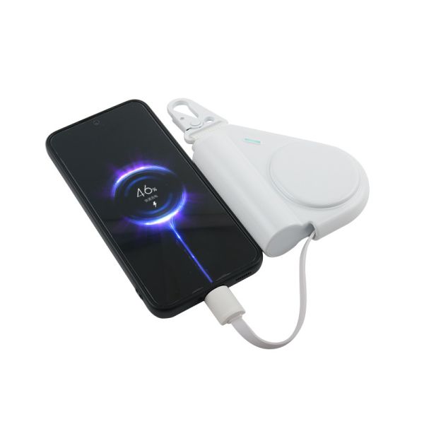 Micro USB Or Type C Portable Power Bank For Smart Phone USB Devices MP4