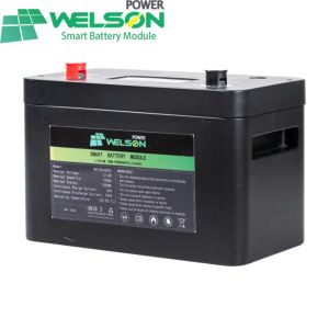 China Rv Golf Cart Lifepo4 Battery 12v 10Ah 20AH BMS 128200 wholesale
