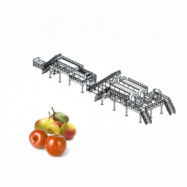 Quality Factory Juice Making Machine Apple Processing Line For Apple / Pear Juice ISO9001 for sale