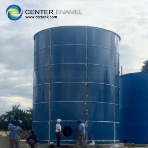 China Double coating Anaerobic Digester Tank For Biogas Digestion Plant wholesale