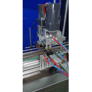 Automatic 100-1000ml 2 Heads Shampoo Bottle Filling Machine