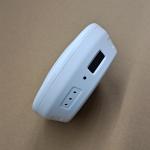 FCC Approve 130Degree Motion Activated Smoke Detector , Remote Control Spy Cam
