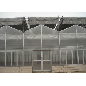 Customized Poly Tunnel Greenhouse Multi Span Agricultural polycarbonate tunnel