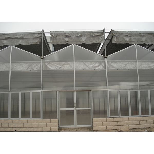 Customized Poly Tunnel Greenhouse Multi Span Agricultural polycarbonate tunnel greenhouse