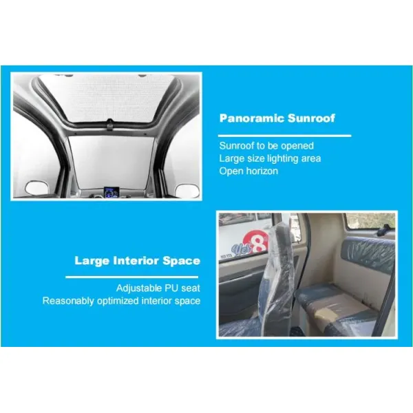 Raysince latest model enclosed electric tricycle China top sales 3 wheel electric car for adults