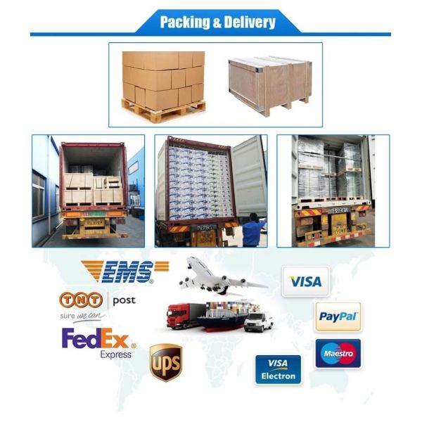 Pet Winter Clothes Cartoon Knitted Cotton Dog Clothes Custom Print Design