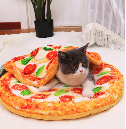 pizza cat bed