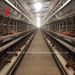 PVC Coated Battery Poultry Farm Equipment 380V 3kw Emily