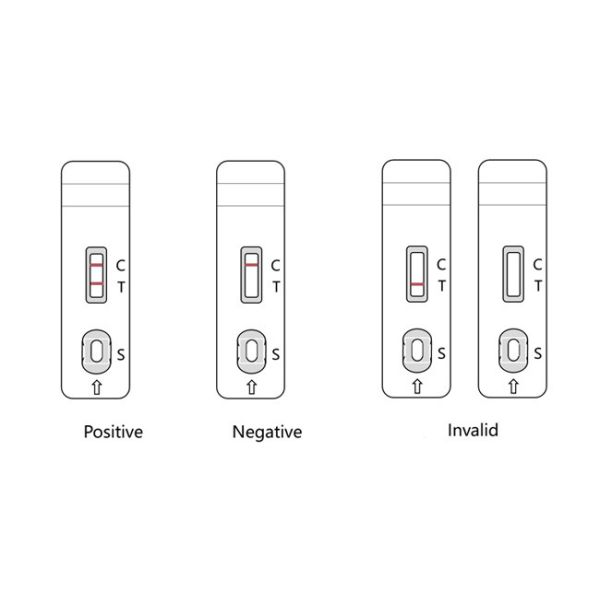 Fresh Feces GMP CPV Canine Parvovirus Pet Rapid Test 10Tests/Kit