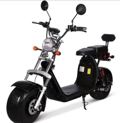 Eec Coc European Electric Scooter 120kg Long Range City Coco Fat Tire Scooter