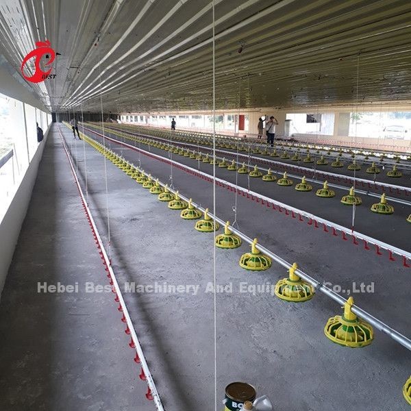 Automatic Poultry Battery Cage System Coated Wire With Long Lifespan Nigeria Sandy