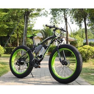 China 1000w 26 Inch Electric Fat Bike wholesale