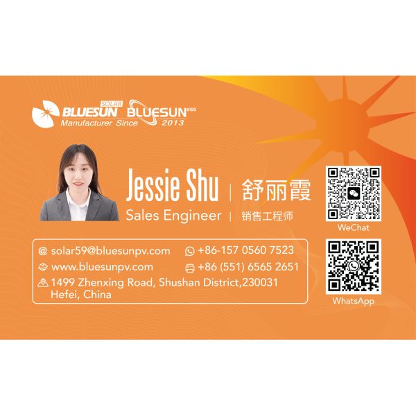 Bluesun New High Efficiency 700W 720W Solar Power Panels Home Use Perc Mono Solar Panel 720W Bifacial Solar Panel for House