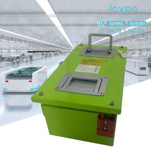 China Cold Room Storage UTV AGV Forklift Low Temperature Lithium Battery 48V Quickly Charge on sale